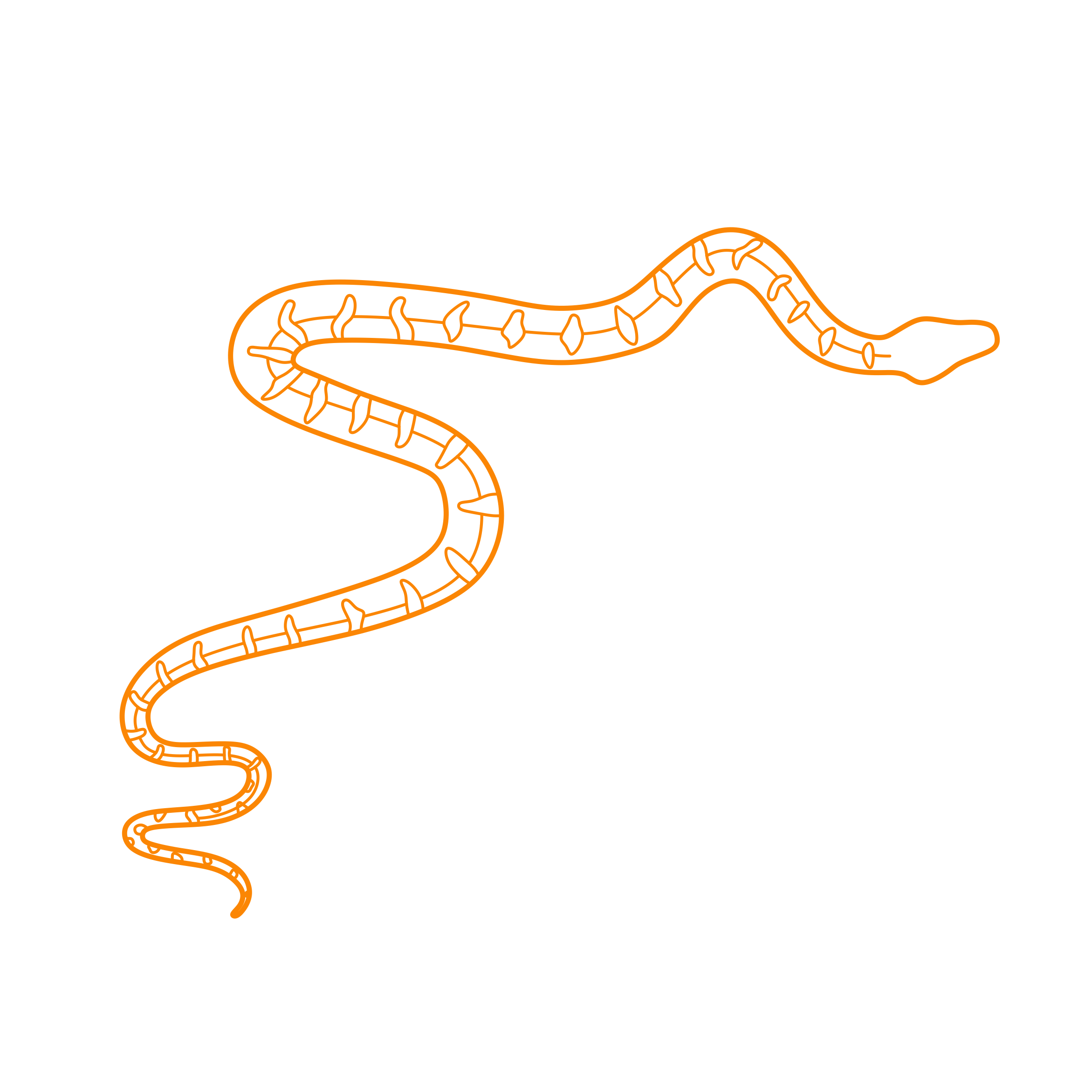 Animals Snakes Emerald Tree Boa Sticker Svg Vector Free Vectors